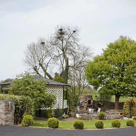 Cartron House Bed & Breakfast Ballinakill  Exterior foto