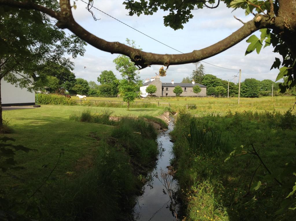 Cartron House Bed & Breakfast Ballinakill  Exterior foto