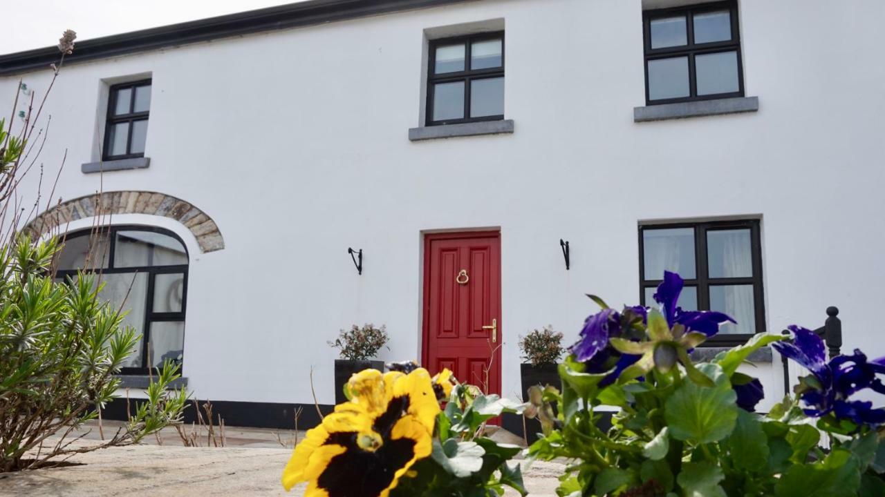 Cartron House Bed & Breakfast Ballinakill  Exterior foto