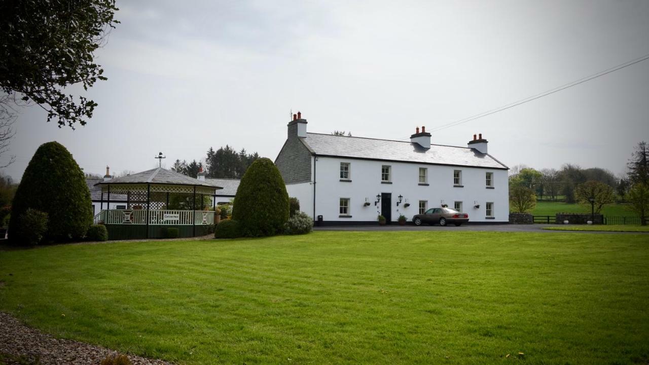 Cartron House Bed & Breakfast Ballinakill  Exterior foto