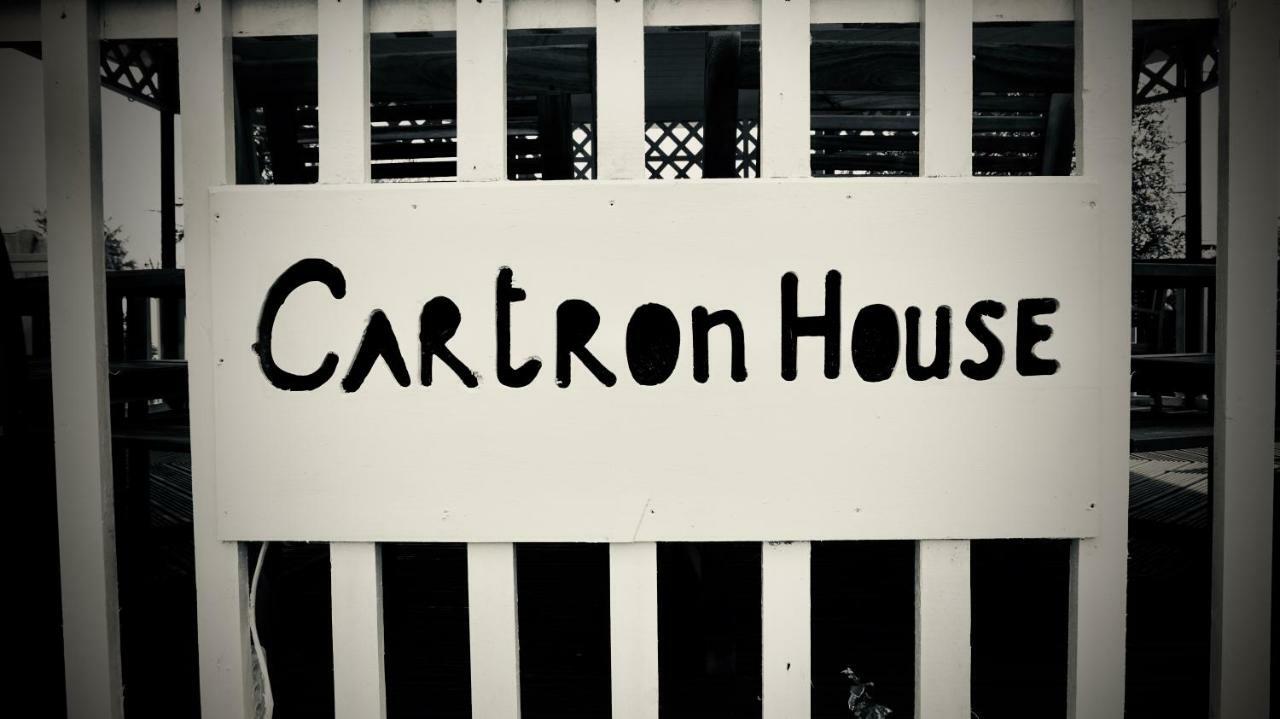 Cartron House Bed & Breakfast Ballinakill  Exterior foto